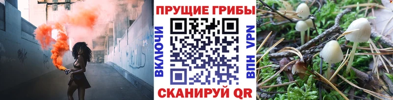 Галлюциногенные грибы ЛСД  Белогорск 
