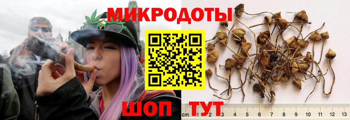 Псилоцибиновые грибы GOLDEN TEACHER Белогорск