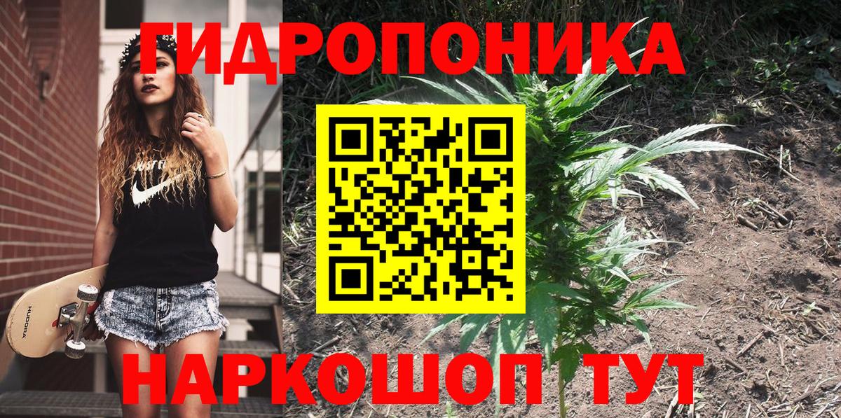 Каннабис семена Белогорск